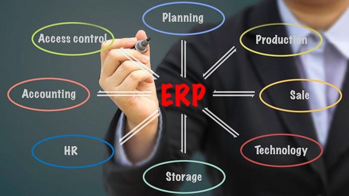 Erp manufacturing software system industry