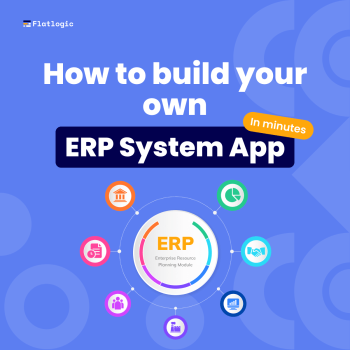 ERP software for affordability