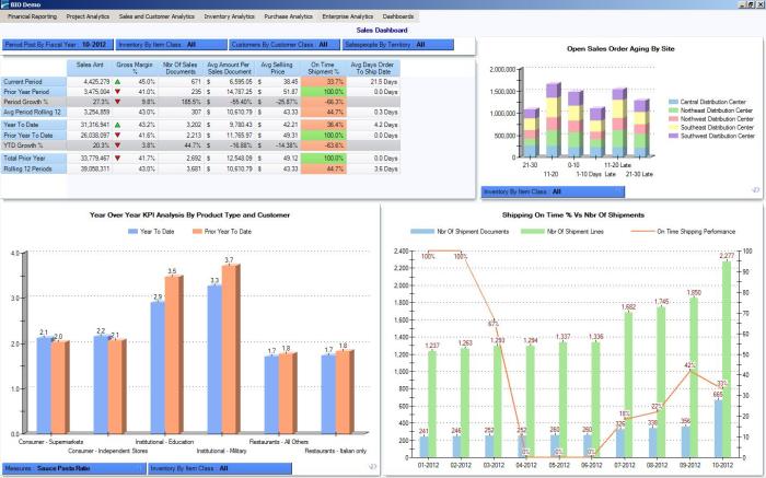 ERP software for key performance indicators