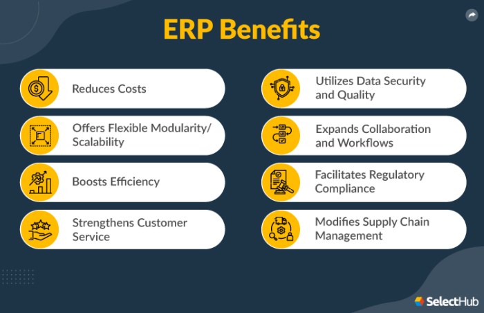 ERP software for competitive advantage