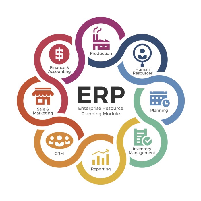 Erp integration jelvix