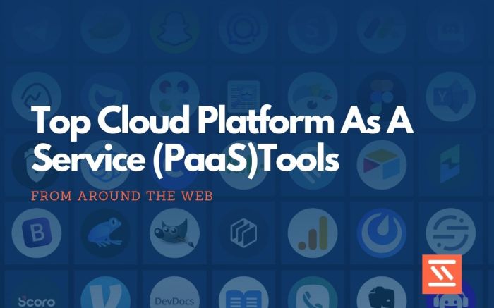 ERP software for PaaS services tools