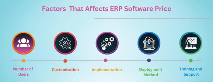 ERP system pricing