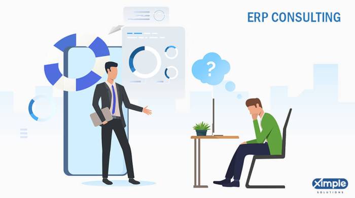 Consulting erp