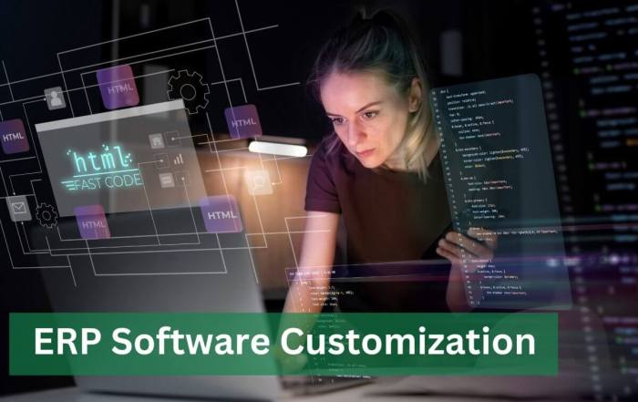 ERP software for customization