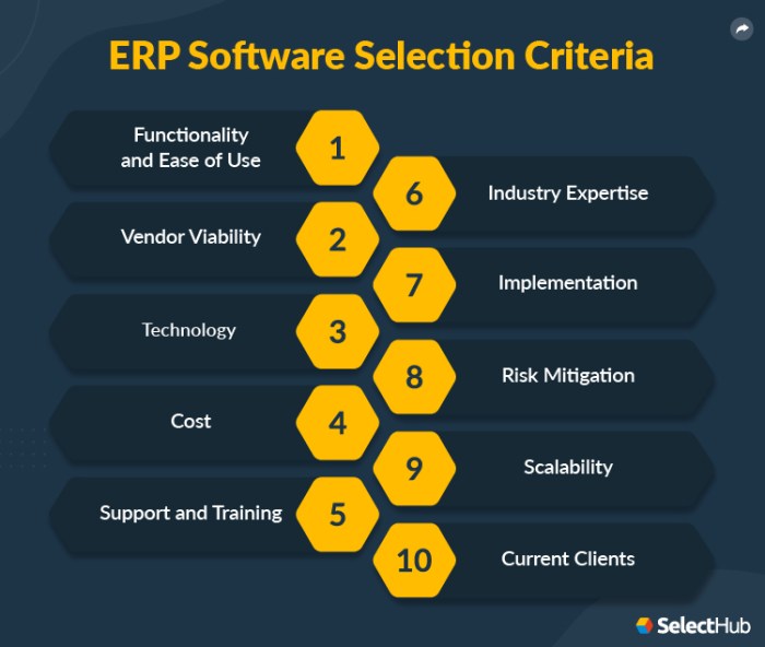 Erp selection system specification roadmap success infographic