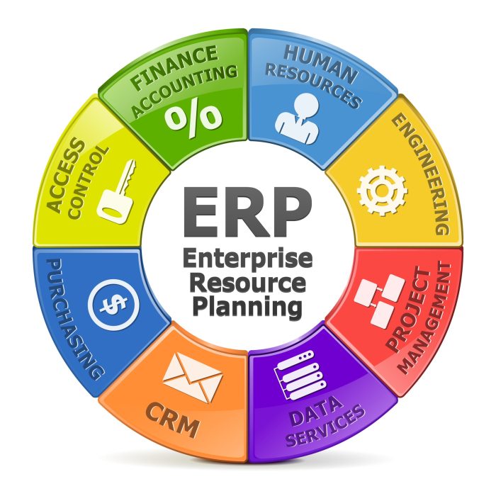 Erp software features generation report