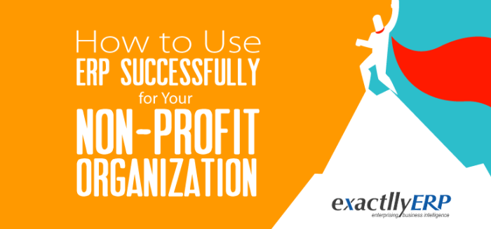 Non profit erp organizations benefit