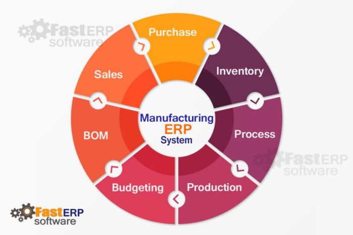 Erp manufacturing software system industry