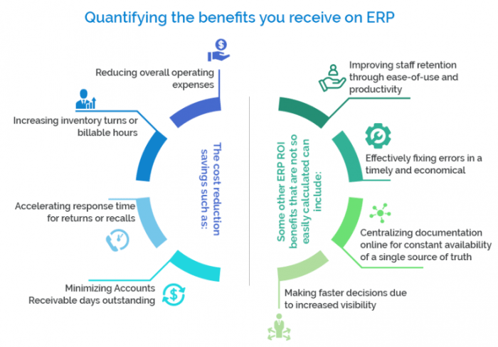 Upgrades erp roi system pay crazy once concept never again still need