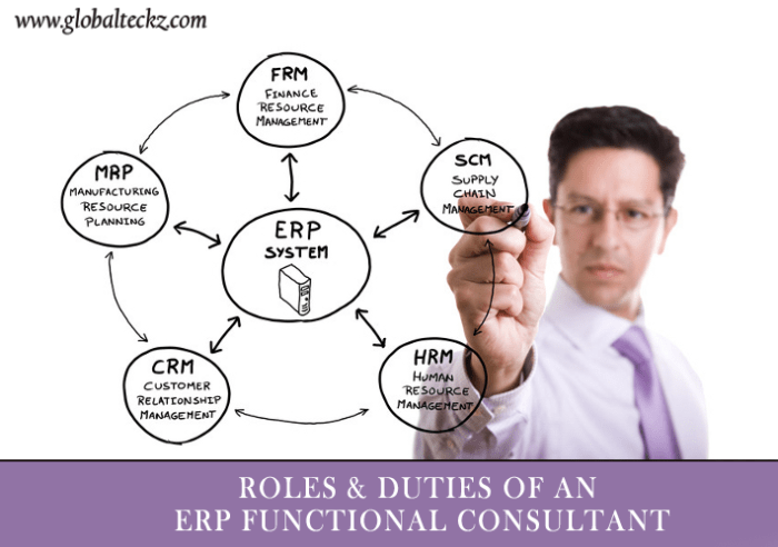 ERP system consultants