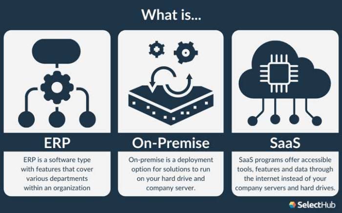 ERP software for managed SaaS services