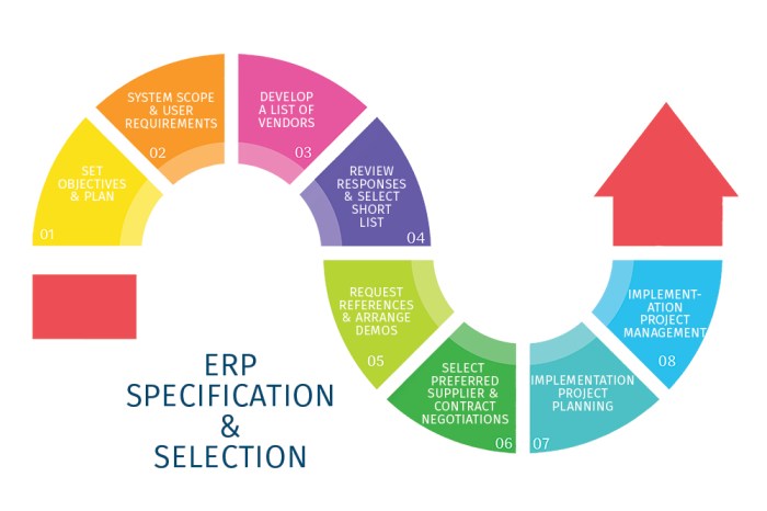 ERP system selection