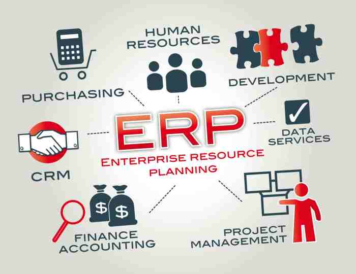 EntERPrise resource planning software implementation