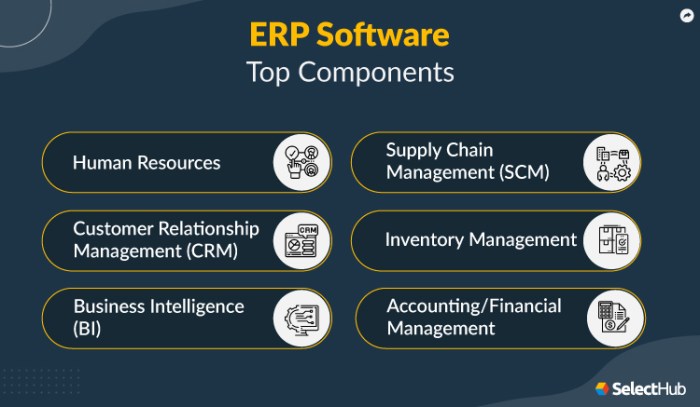 Management erp software total