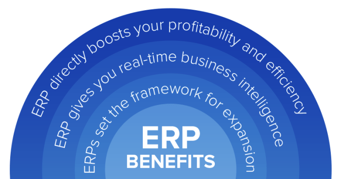 Erp choosing