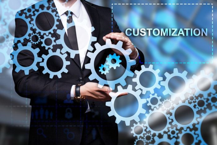 ERP system customization