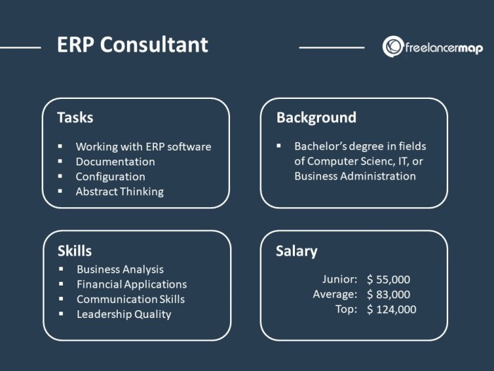 ERP system consultants