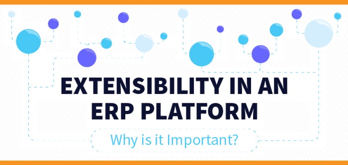 ERP software for extensibility