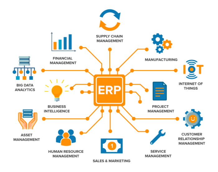 Erp software management solution necessary