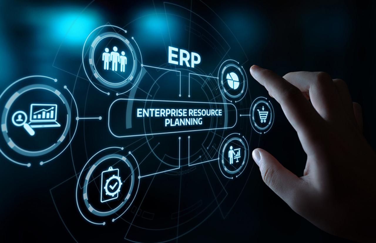 Erp netsuite