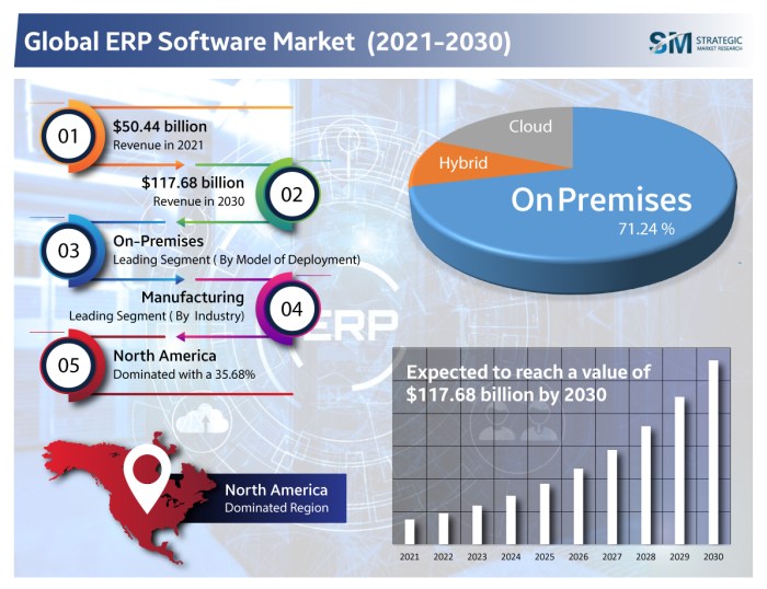 ERP software for growth