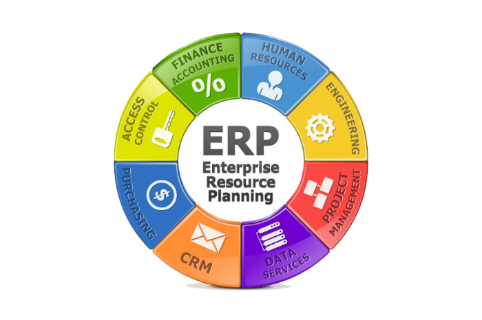 ERP software for industry-specific regulations