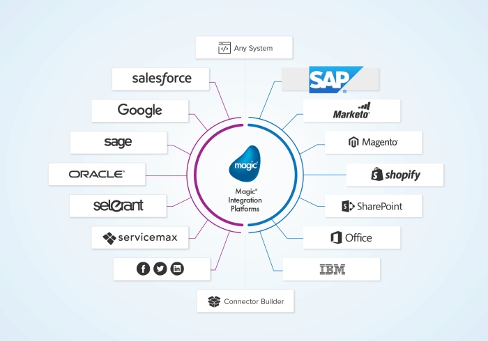 ERP software for process integration