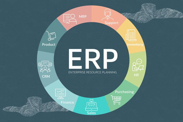 ERP software for social media