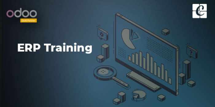 ERP system training